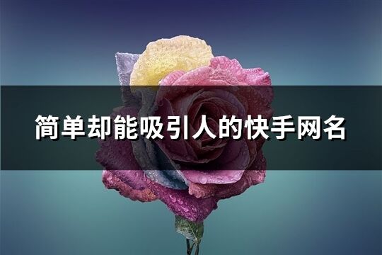 简单却能吸引人的快手网名(434个)