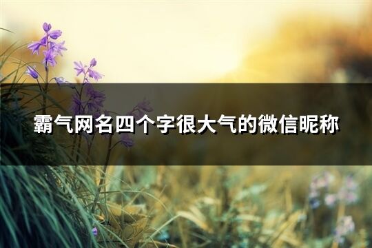 霸气网名四个字很大气的微信昵称(优选417个)