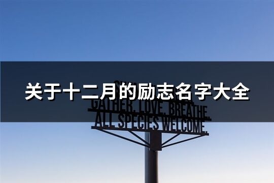 关于十二月的励志名字大全(优选95个)