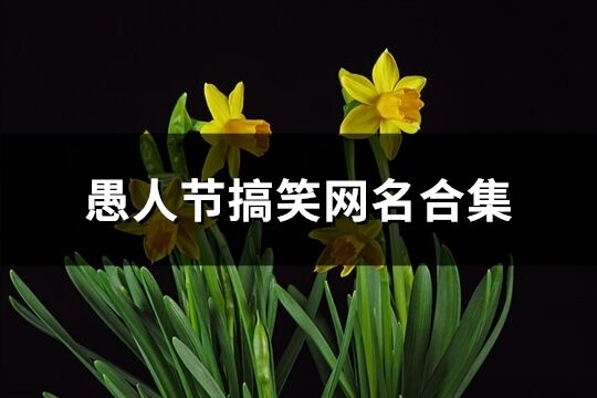 愚人节搞笑网名合集(共100个)