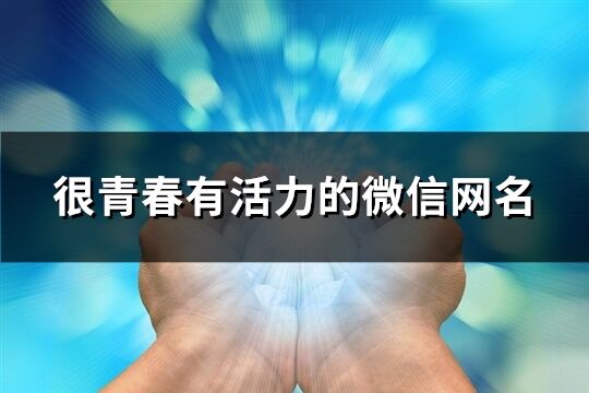 很青春有活力的微信网名(优选446个)