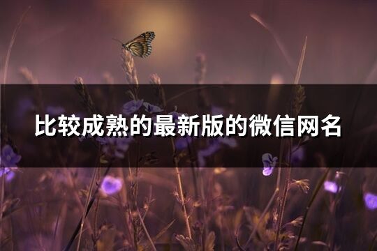 比较成熟的最新版的微信网名(共1021个)