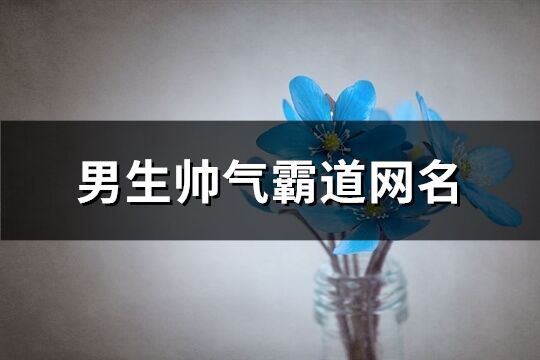 男生帅气霸道网名(精选479个)