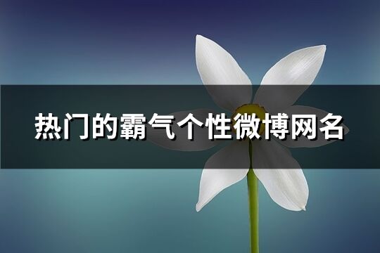 热门的霸气个性微博网名(优选270个)