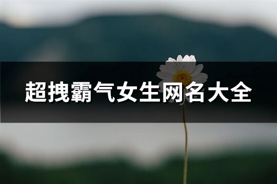 超拽霸气女生网名大全(精选193个)