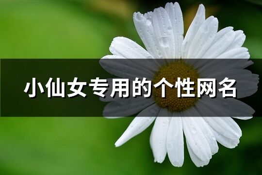 小仙女专用的个性网名(精选164个)