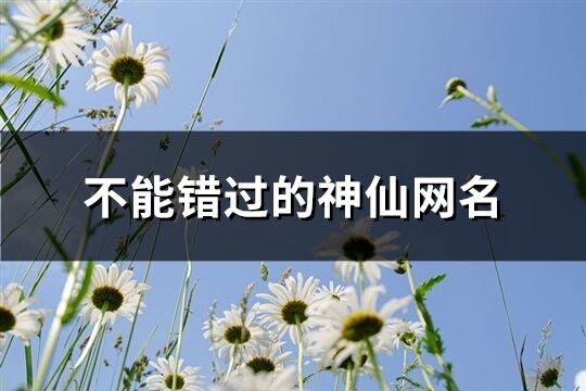 不能错过的神仙网名(共536个)