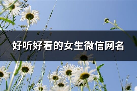 好听好看的女生微信网名(精选382个)