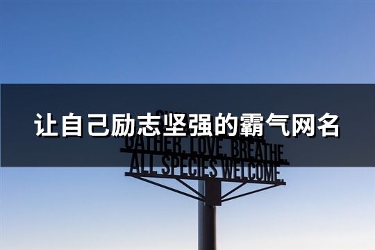 让自己励志坚强的霸气网名(231个)