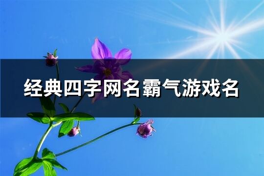 经典四字网名霸气游戏名(共781个)