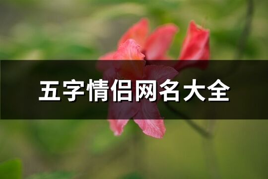 五字情侣网名大全(共586个)