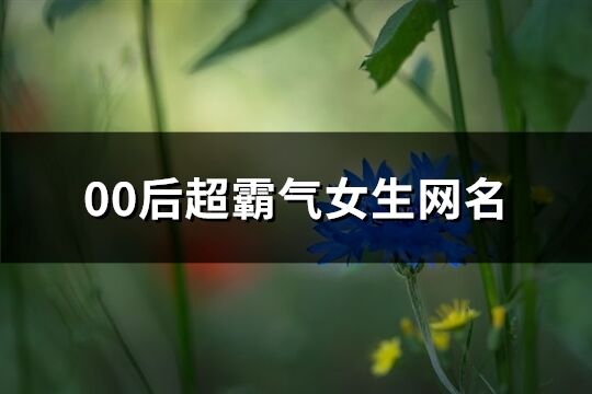 00后超霸气女生网名(511个)