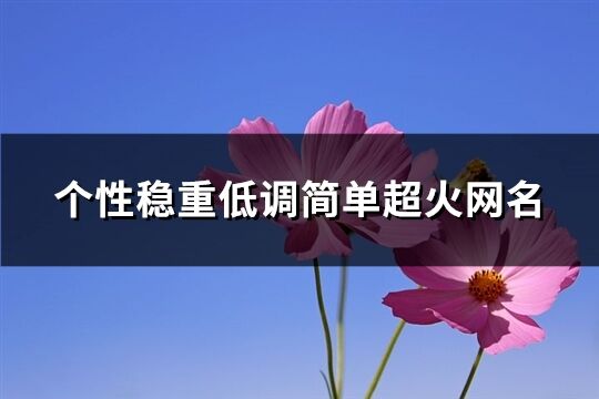 个性稳重低调简单超火网名(共455个)