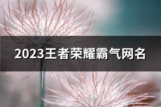 2023王者荣耀霸气网名(共208个)