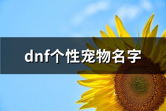 dnf个性宠物名字(共401个)