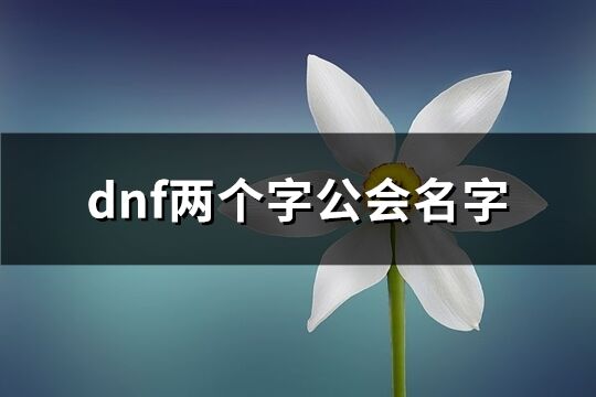 dnf两个字公会名字(优选167个)