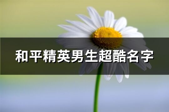 和平精英男生超酷名字(优选286个)