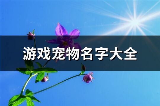 游戏宠物名字大全(优选385个)