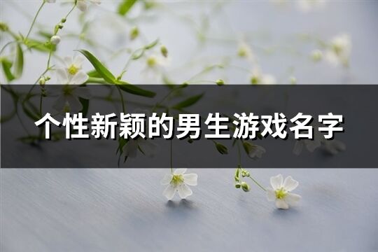 个性新颖的男生游戏名字(443个)