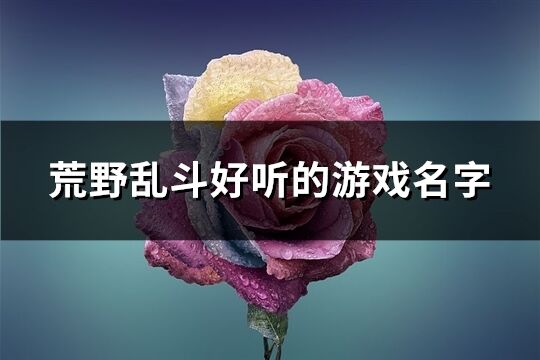 荒野乱斗好听的游戏名字(共197个)