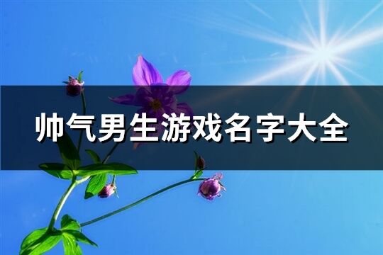 帅气男生游戏名字大全(优选322个)