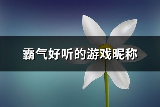 霸气好听的游戏昵称(优选386个)