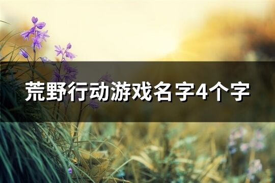 荒野行动游戏名字4个字(优选261个)