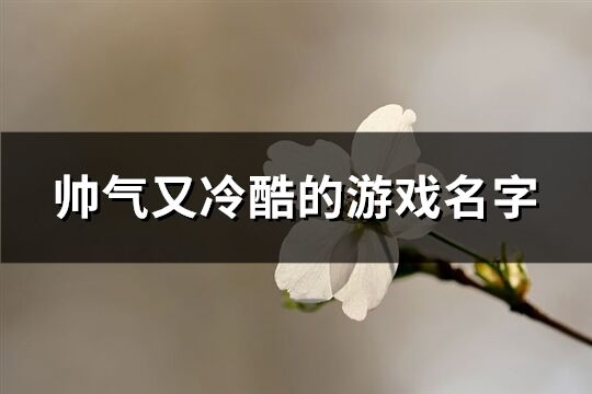 帅气又冷酷的游戏名字(501个)