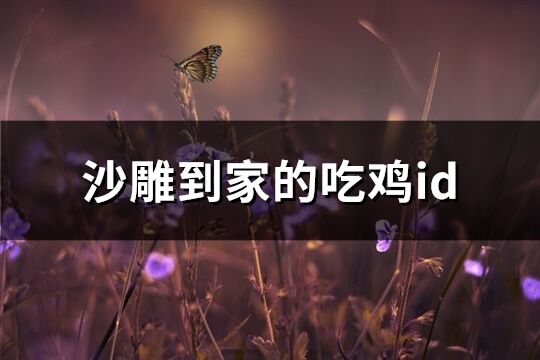 沙雕到家的吃鸡id(261个)