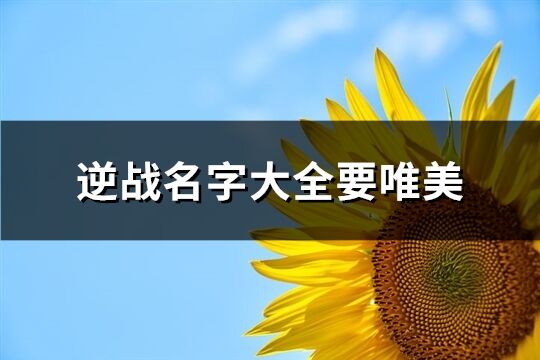 逆战名字大全要唯美(共73个)