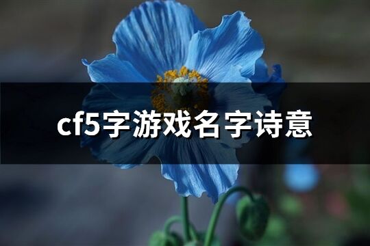 cf5字游戏名字诗意(精选403个)