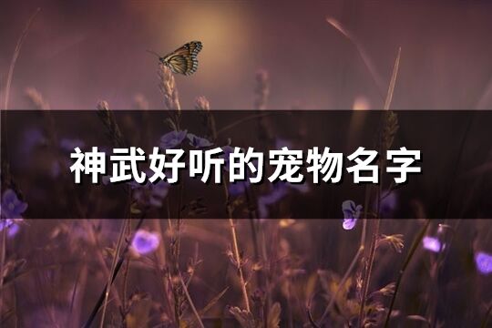 神武好听的宠物名字(共236个)