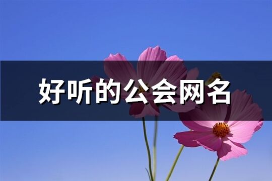 好听的公会网名(共201个)