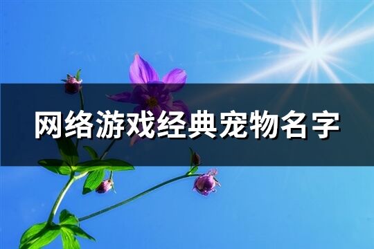 网络游戏经典宠物名字(优选536个)