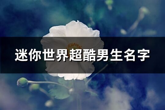 迷你世界超酷男生名字(优选224个)