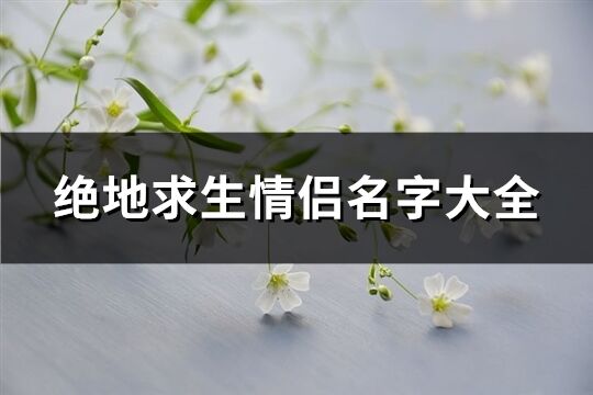 绝地求生情侣名字大全(144个)