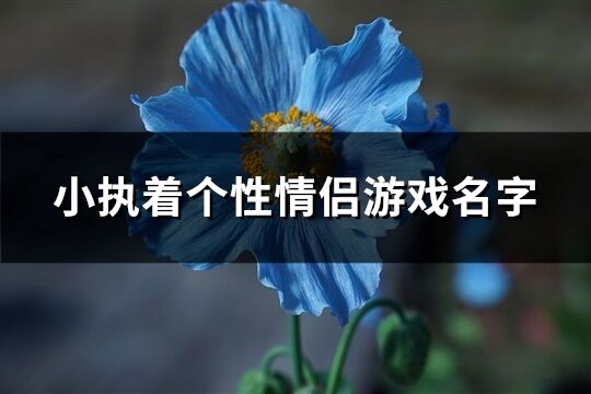 小执着个性情侣游戏名字(优选116个)