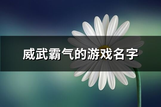 威武霸气的游戏名字(261个)