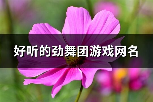 好听的劲舞团游戏网名(精选461个)