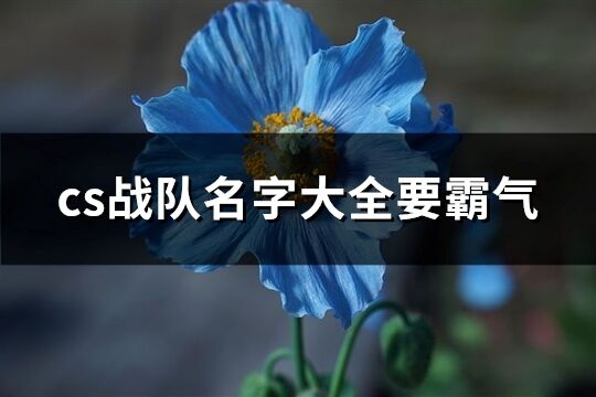 cs战队名字大全要霸气(共92个)