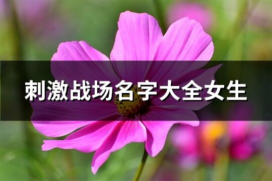 刺激战场名字大全女生(365个)