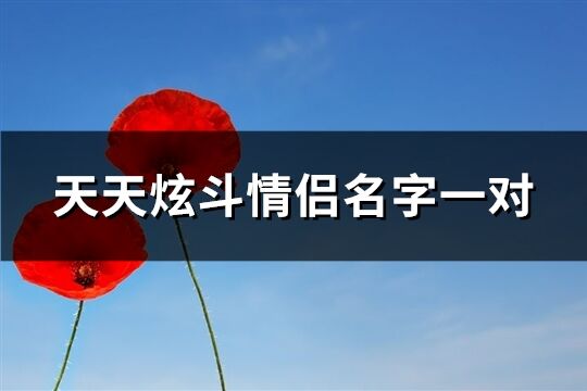 天天炫斗情侣名字一对(优选124个)