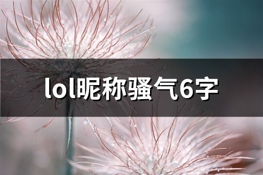 lol昵称骚气6字(优选335个)