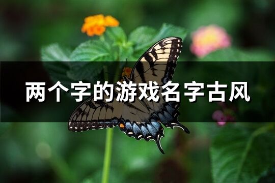 两个字的游戏名字古风(精选504个)