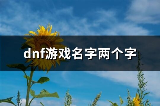 dnf游戏名字两个字(621个)