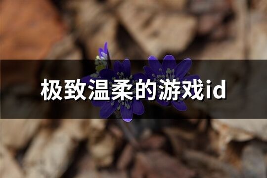 极致温柔的游戏id(60个)