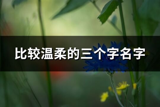 比较温柔的三个字名字(共509个)