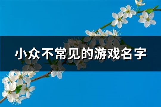 小众不常见的游戏名字(优选115个)