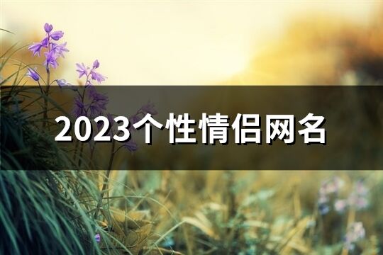 2023个性情侣网名(487个)