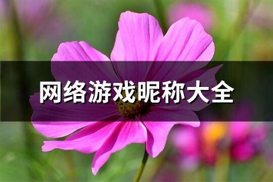 网络游戏昵称大全(精选448个)